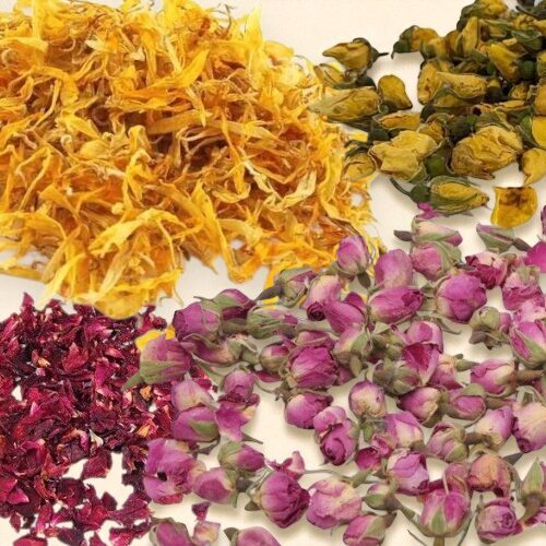 Dried Flowers and Botanicals for Decoration