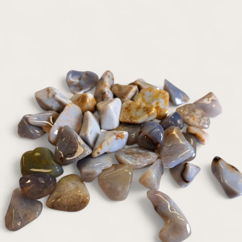 	Halcedons zilais  1 gab.