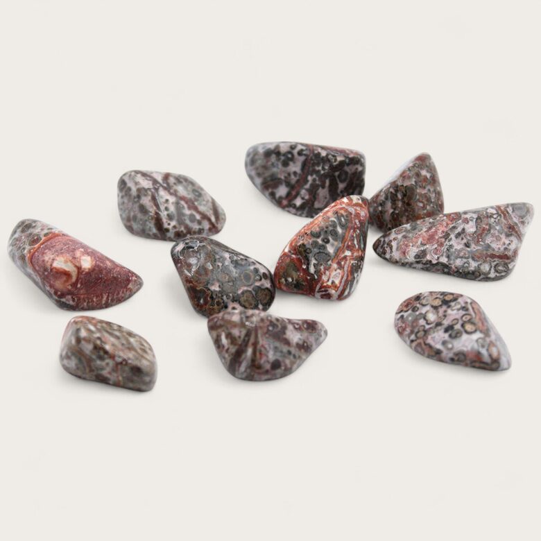 	Leopardādas jašma 1 gab