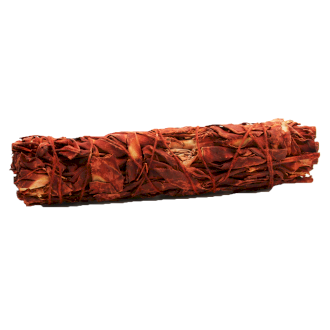 Salvijas bunte Dragon blood ( Pūķa asinis) 15 cm