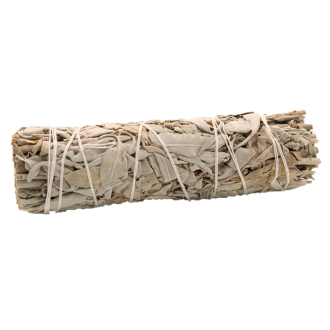 Salvijas bunte 10 cm