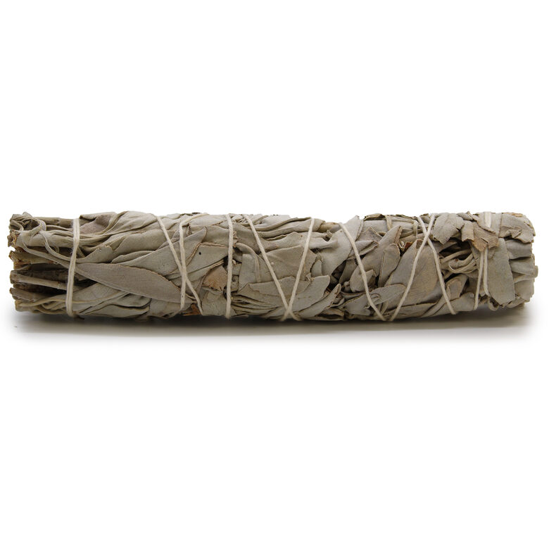 Salvijas bunte 15 cm