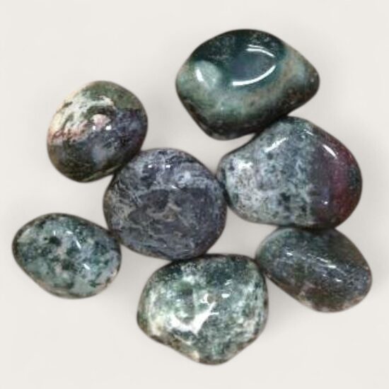 	Koku ahāts (dažādi) 1 gab.