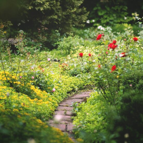 	Smaržu essence Noslēpumainais Dārzs 10 ml